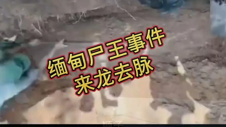 《缅甸僵尸出土事件视频》完整版在线观看免费播放 - 诡异真相解密高清下载全程录像 - 缅北僵尸出土事件始末原视频资源下载超清未删减